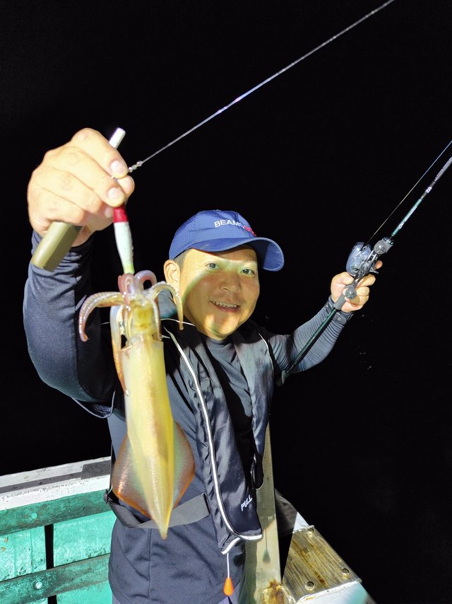 シロイカ(ケンサキイカ)