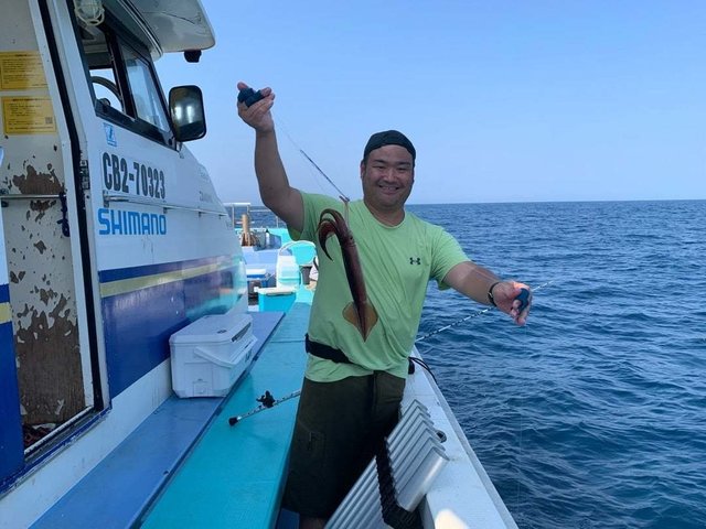 スルメ(スルメイカ)