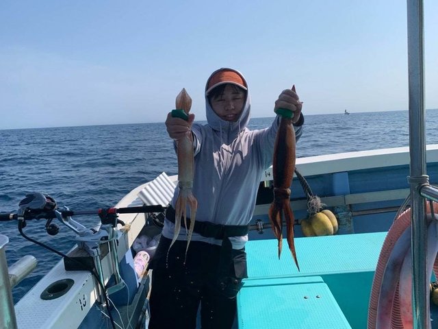 スルメ(スルメイカ)