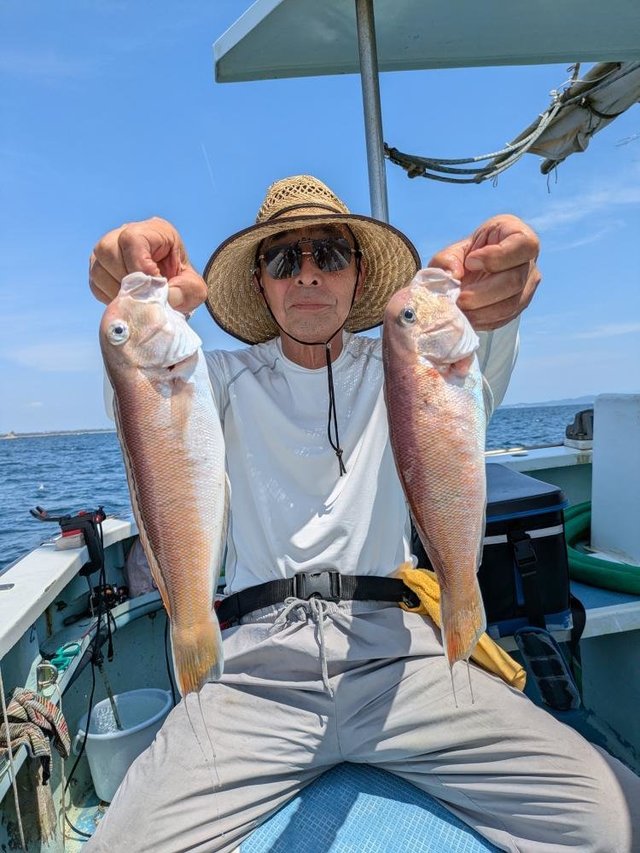 アマダイ(アカアマダイ)