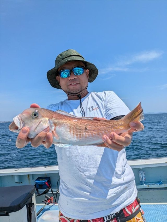 アマダイ(アカアマダイ)