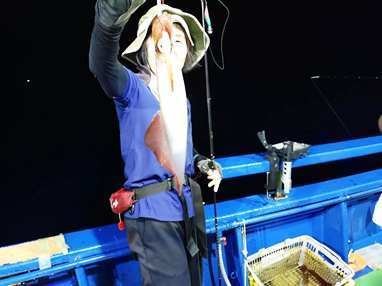 マイカ(ケンサキイカ)