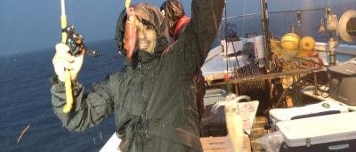 マイカ(ケンサキイカ)