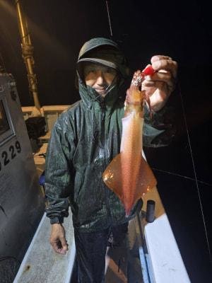 マイカ(ケンサキイカ)