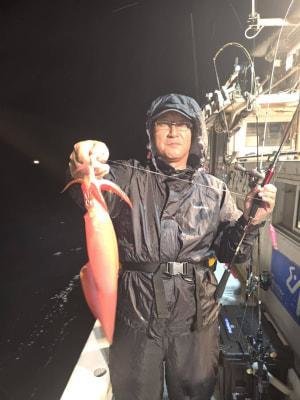 マイカ(ケンサキイカ)