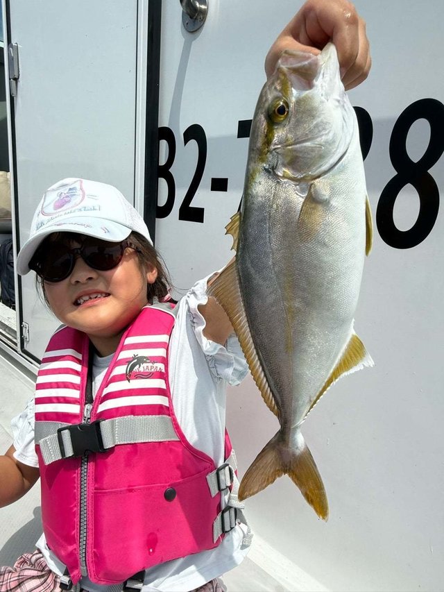 ショゴ(カンパチ)