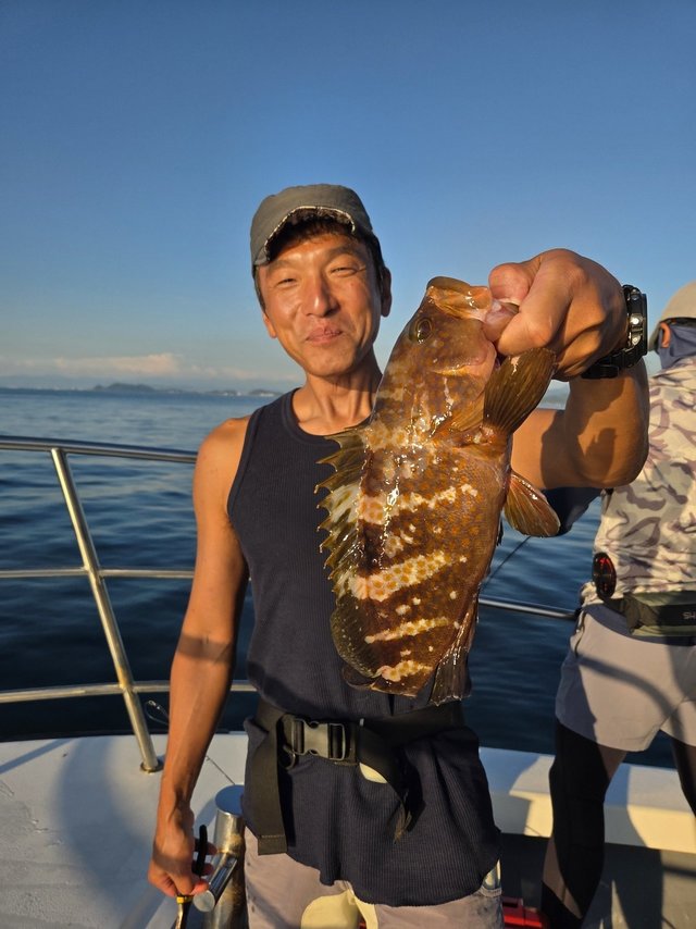 アコウ(キジハタ)