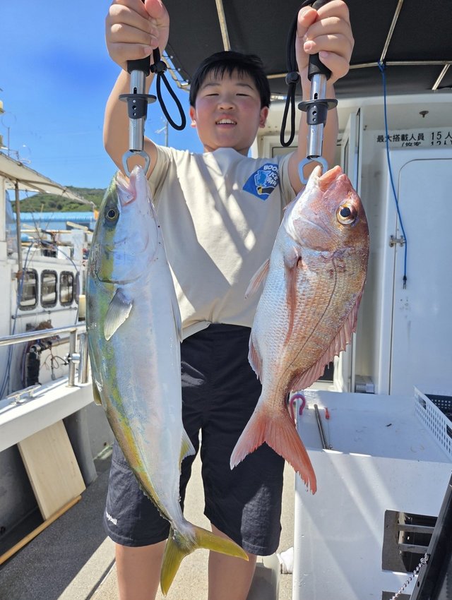 マダイ・ハマチ(ブリ)