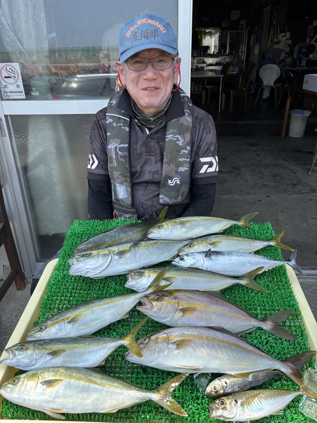 アジ(マアジ)・ワカシ(ブリ)