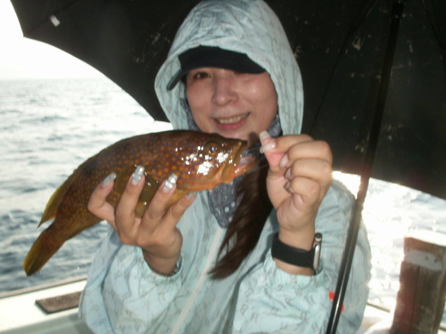 アコウ(キジハタ)