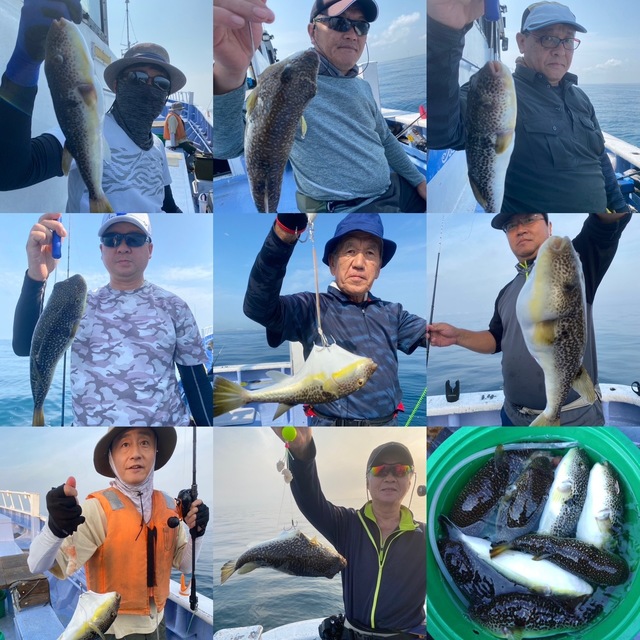 ショウサイフグ