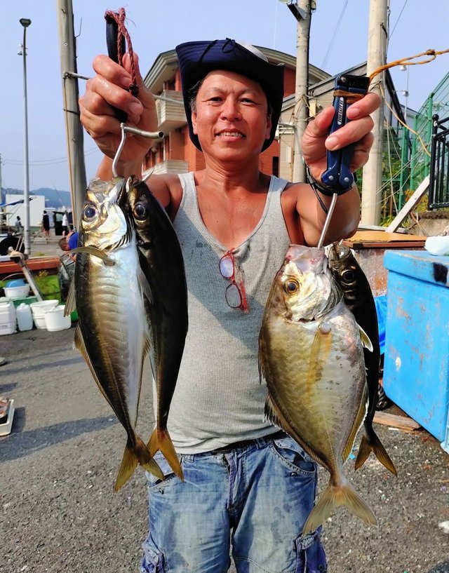 アジ(マアジ)・カイワリ