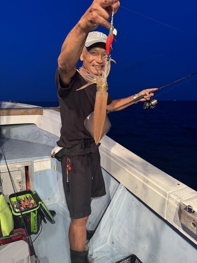 シロイカ(ケンサキイカ)