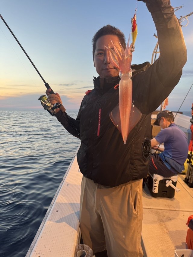 シロイカ(ケンサキイカ)