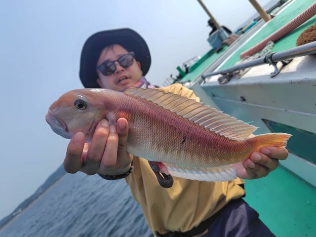 アマダイ(アカアマダイ)