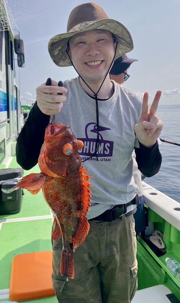 ウッカリカサゴ