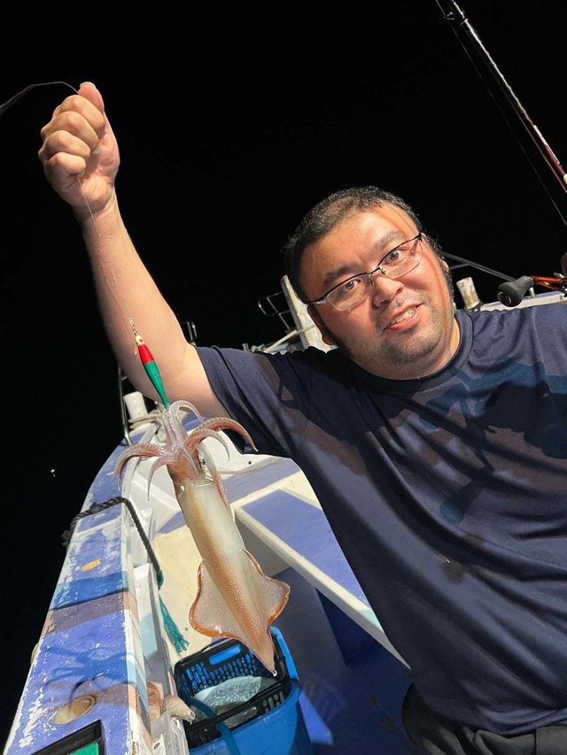 マルイカ(ケンサキイカ)