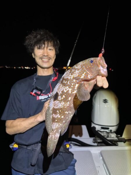 アコウ(キジハタ)