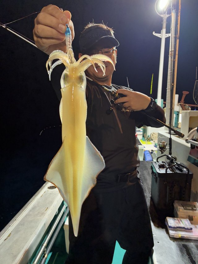 アカイカ(ケンサキイカ)