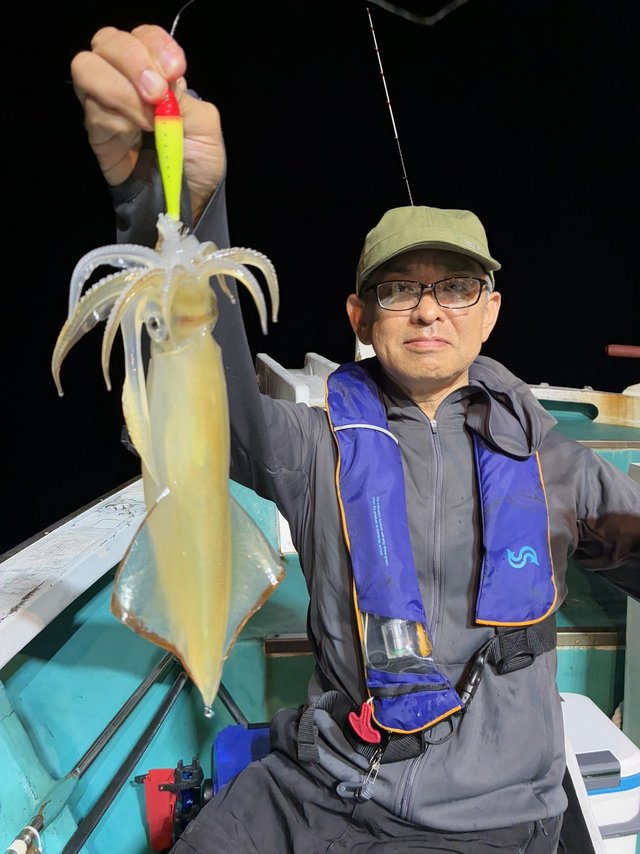 アカイカ(ケンサキイカ)