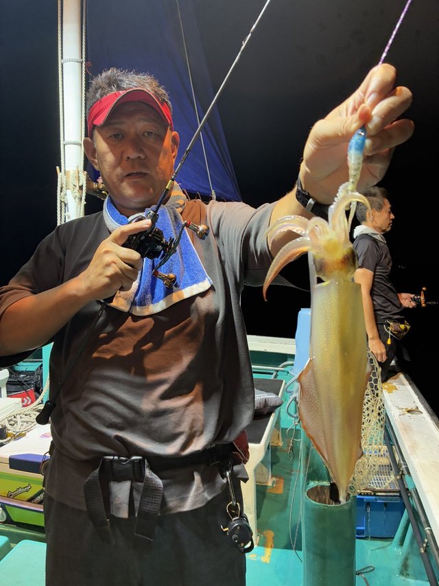 アカイカ(ケンサキイカ)