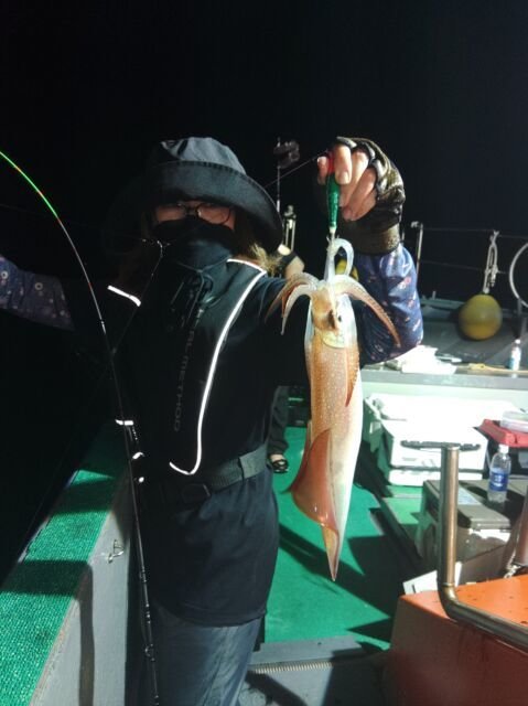 イカ(ヤリイカ)