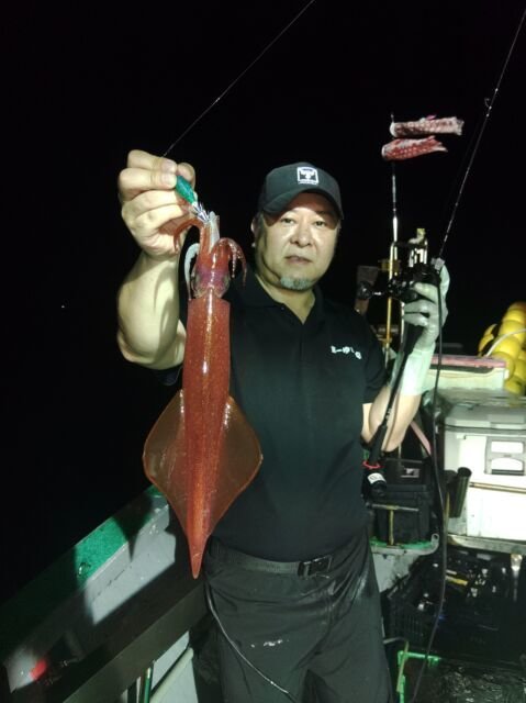 イカ(ヤリイカ)