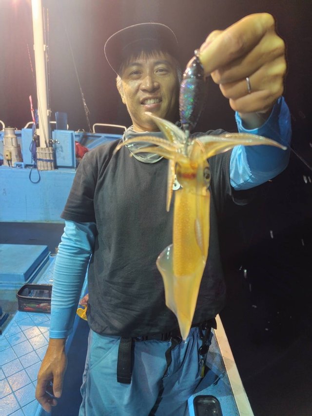 マルイカ(ケンサキイカ)