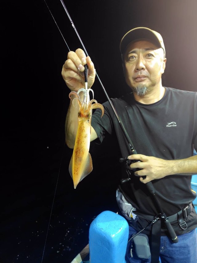 マルイカ(ケンサキイカ)