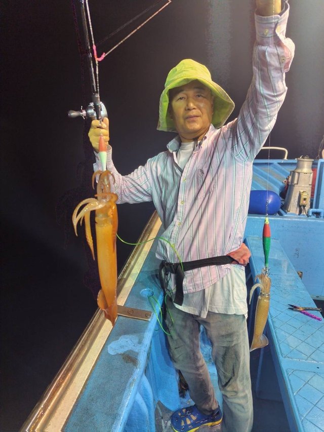 マルイカ(ケンサキイカ)