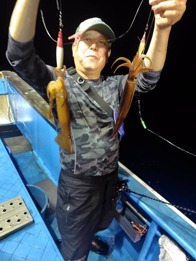 マルイカ(ケンサキイカ)