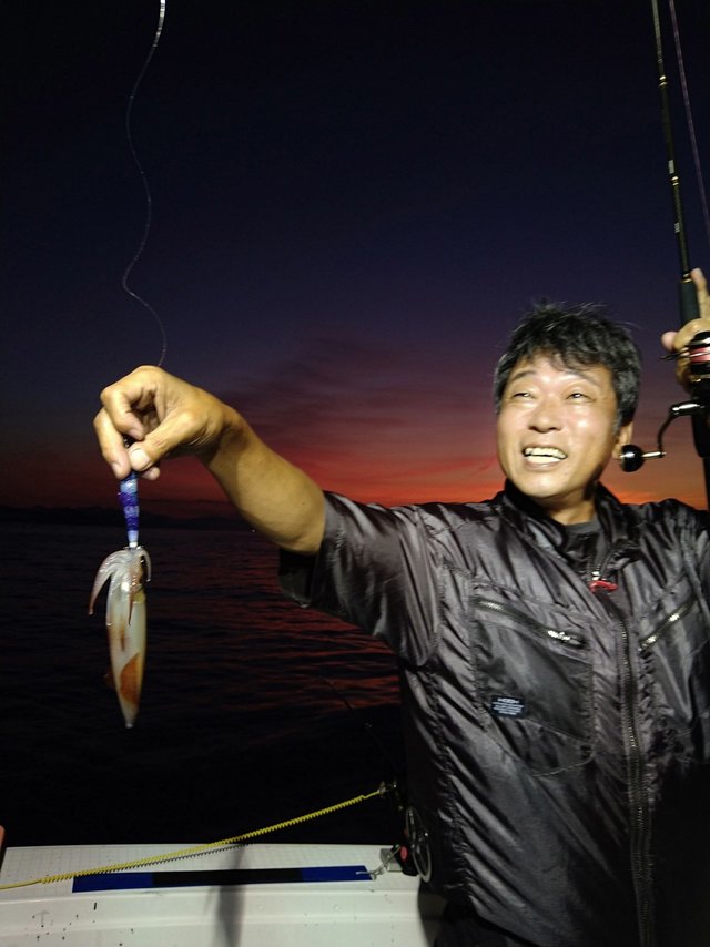 イカ(ケンサキイカ)