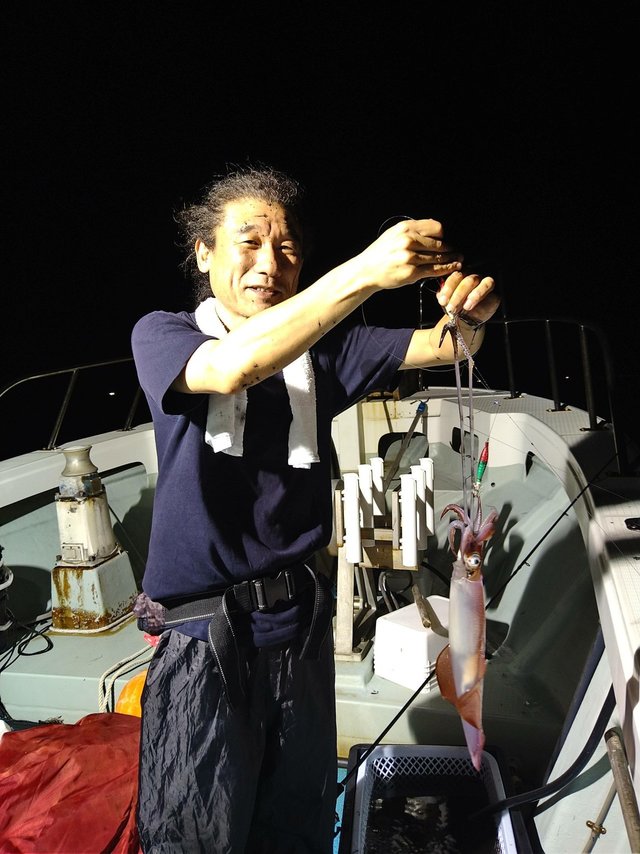 イカ(ケンサキイカ)