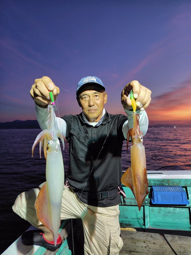 シロイカ(ケンサキイカ)