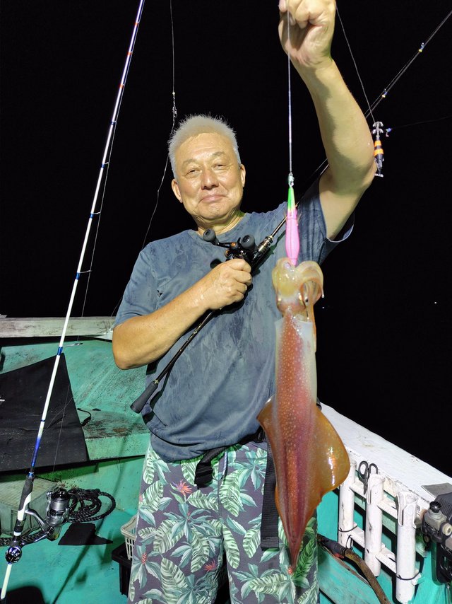 シロイカ(ケンサキイカ)