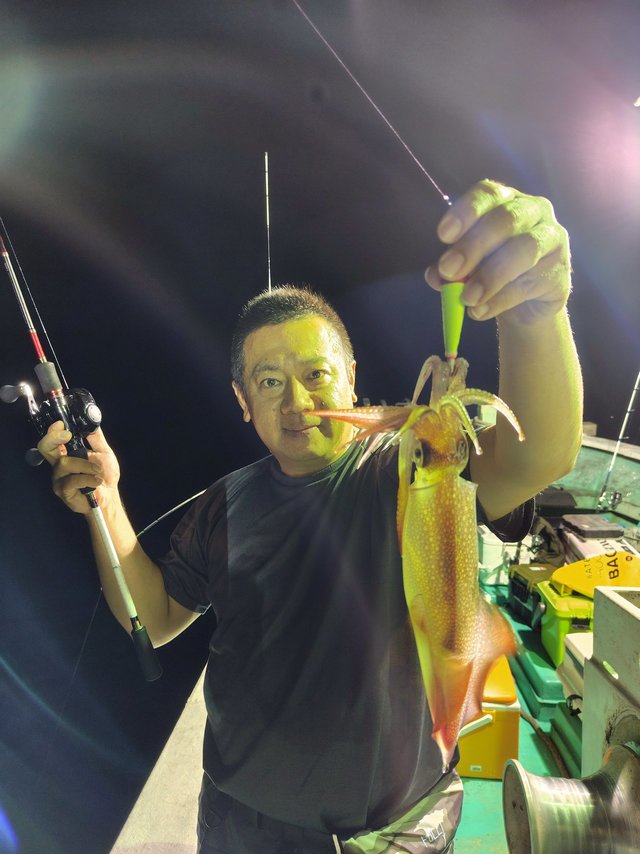 シロイカ(ケンサキイカ)