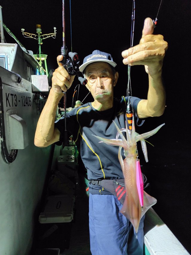 シロイカ(ケンサキイカ)