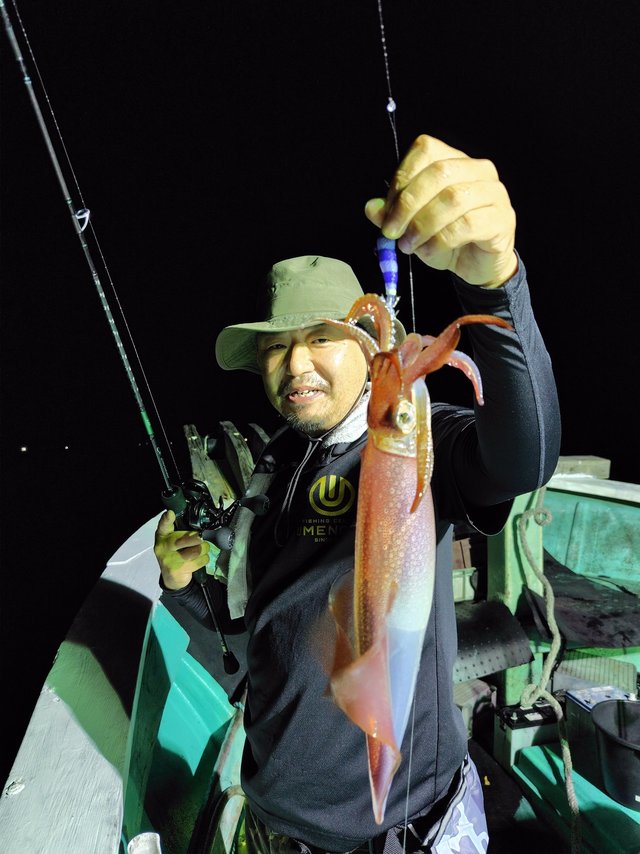 シロイカ(ケンサキイカ)