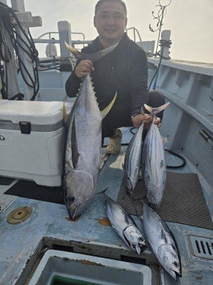 キハダ・カツオ・ヒラソーダ(ヒラソウダ)