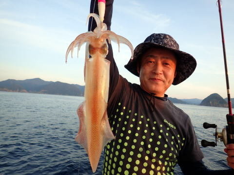 シロイカ(ケンサキイカ)