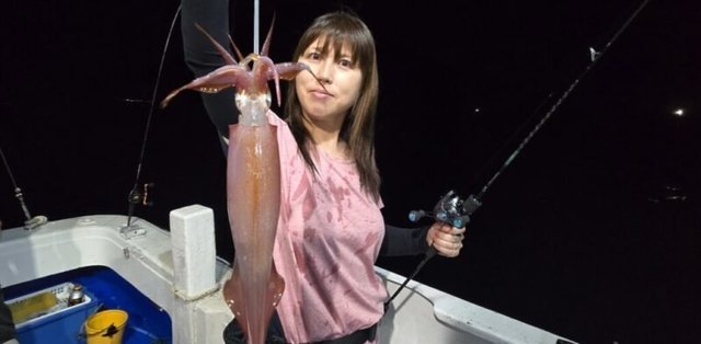 アカイカ(ケンサキイカ)