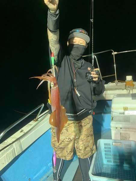 イカ(ケンサキイカ)