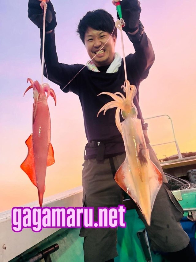 イカ(ケンサキイカ)