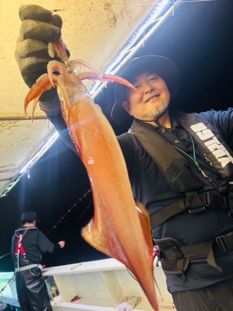 イカ(ケンサキイカ)