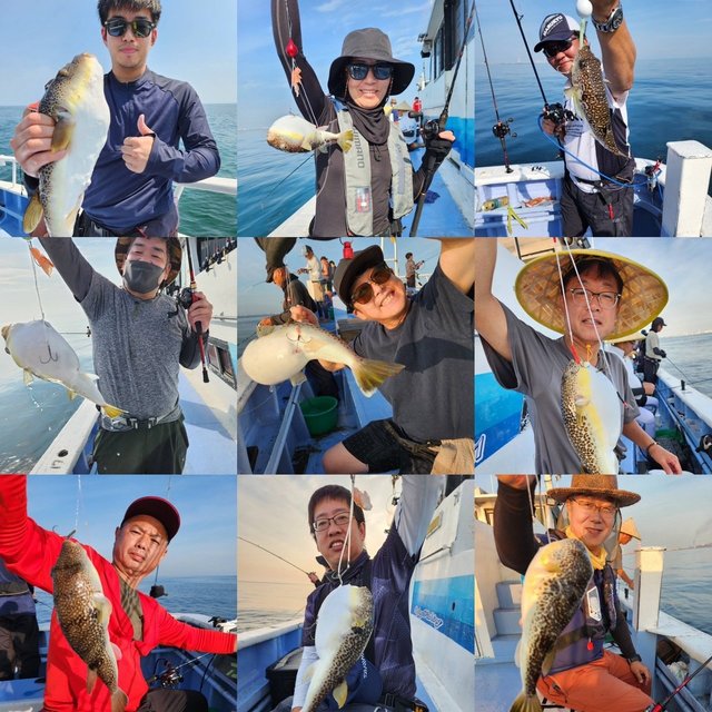 ショウサイフグ