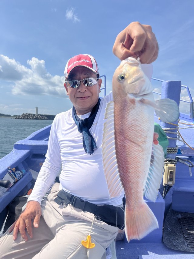 アマダイ(アカアマダイ)