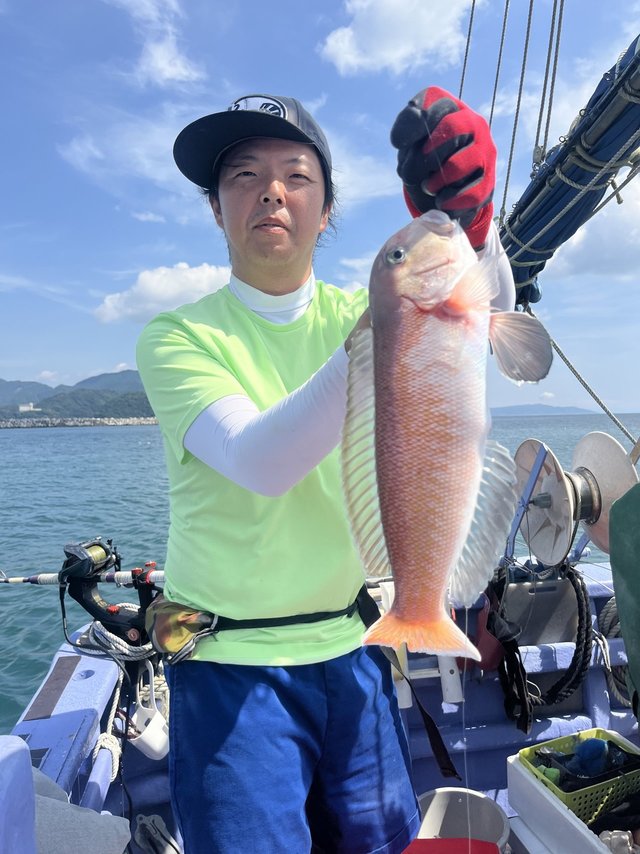 アマダイ(アカアマダイ)