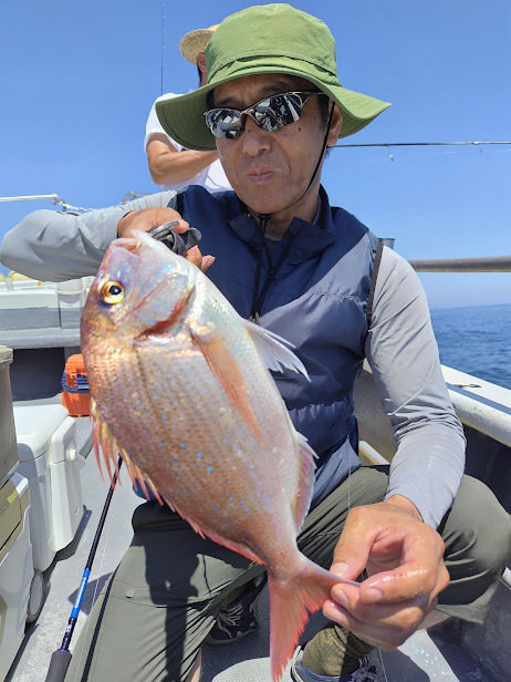 ハナダイ(チダイ)