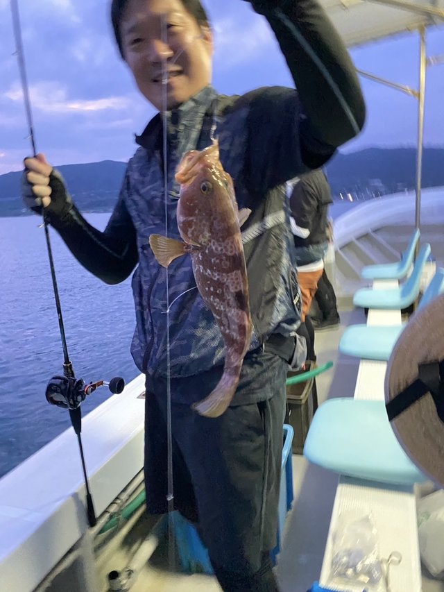 アコウ(キジハタ)