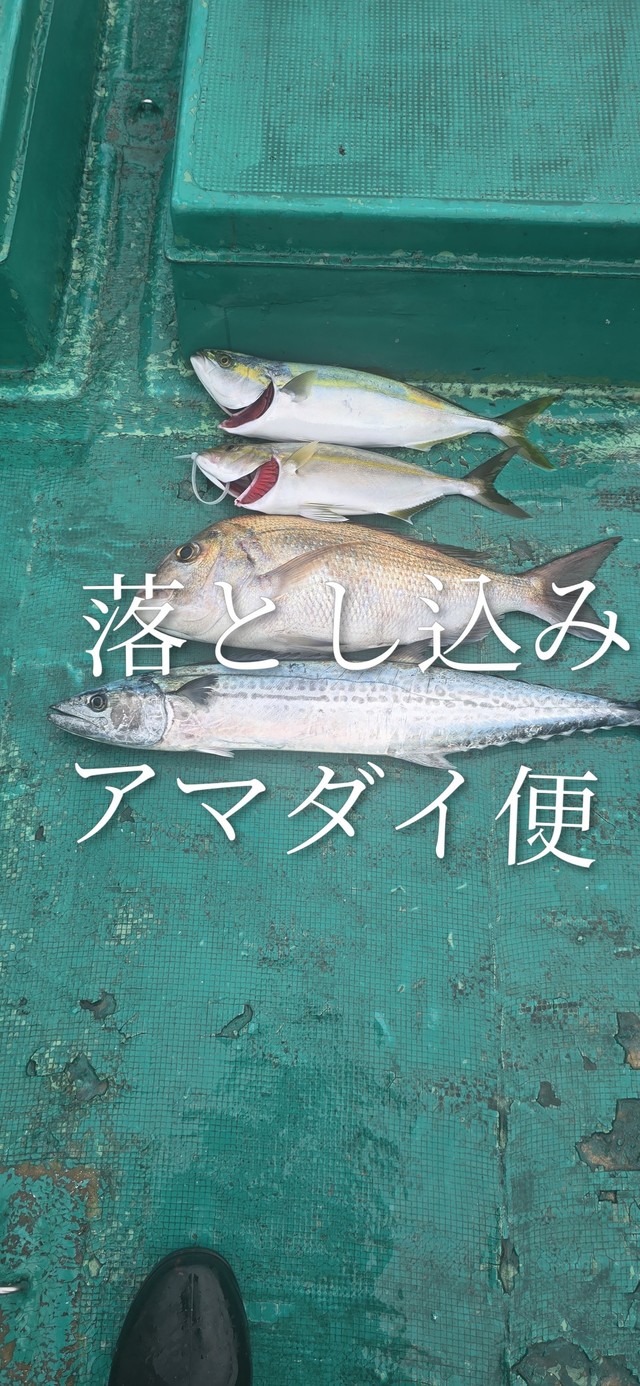 マダイ・サワラ